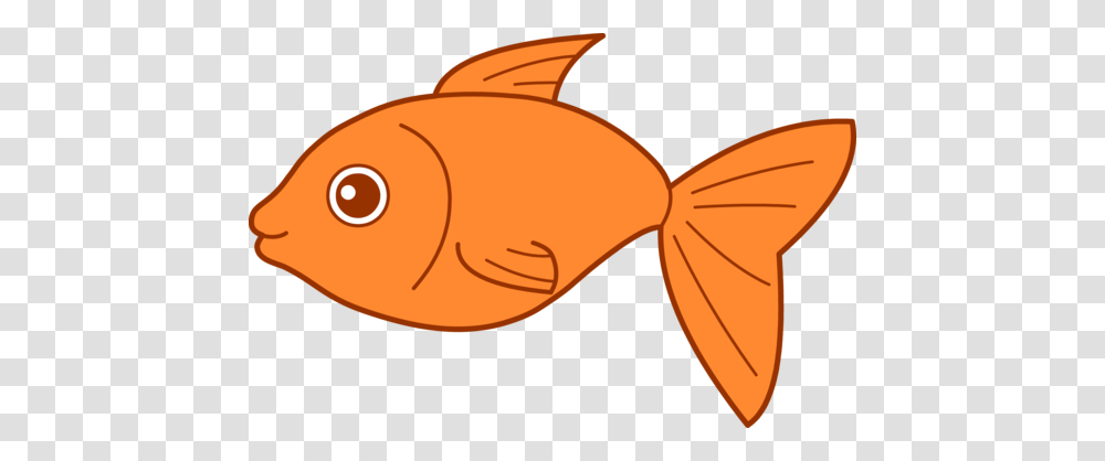 Goldfish, Animals, Tie, Accessories, Accessory Transparent Png