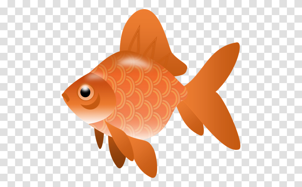 Goldfish, Animals, Toy Transparent Png