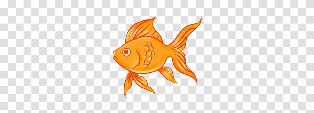 Goldfish, Animals Transparent Png