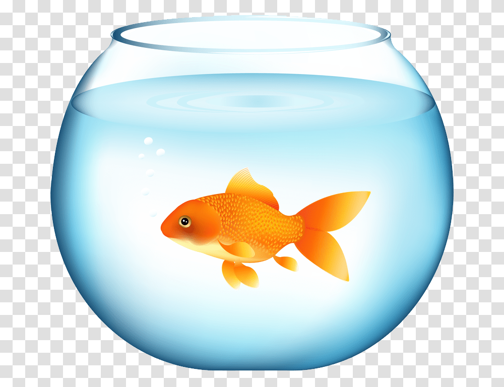 Goldfish, Animals Transparent Png