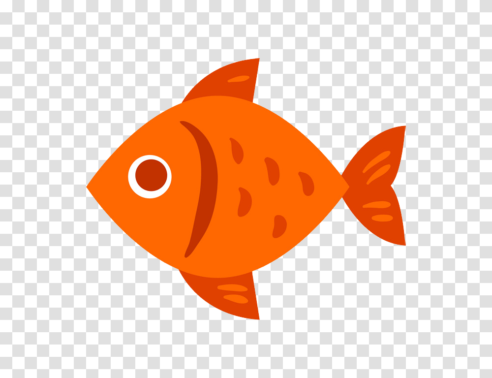 Goldfish, Animals Transparent Png