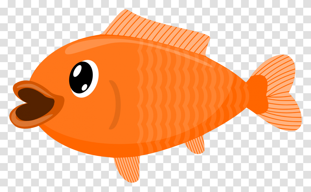 Goldfish, Animals Transparent Png