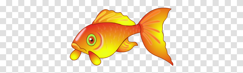 Goldfish, Animals Transparent Png