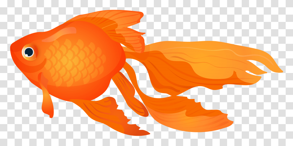 Goldfish Clip Art, Animal, Painting Transparent Png