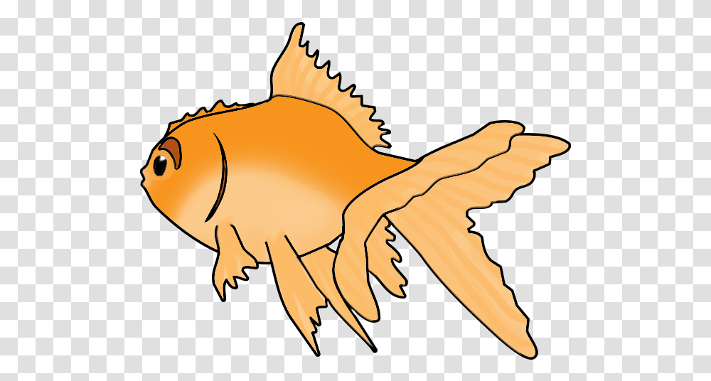 Goldfish Clip Art, Animal Transparent Png