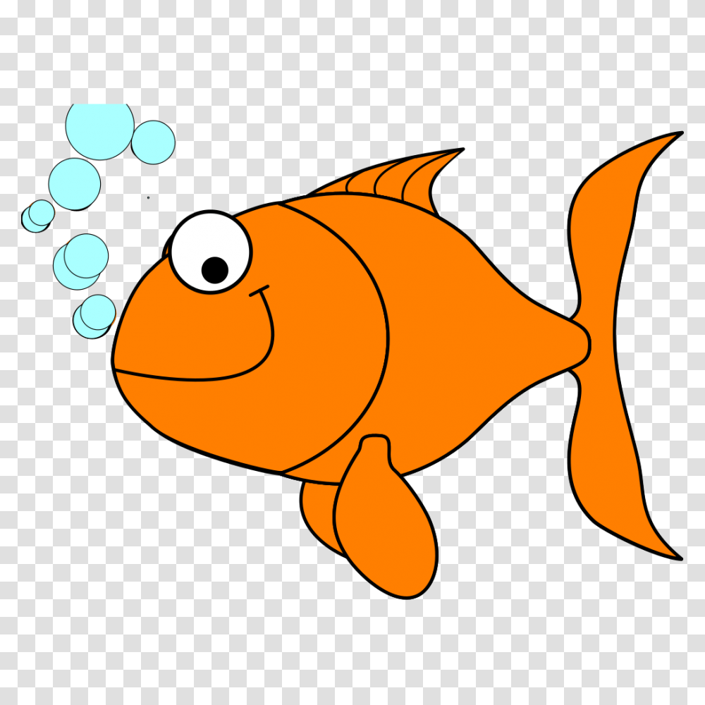 Goldfish Clipart Background Picture 61364 Background Goldfish Clipart, Animal, Rock Beauty, Sea Life, Silhouette Transparent Png