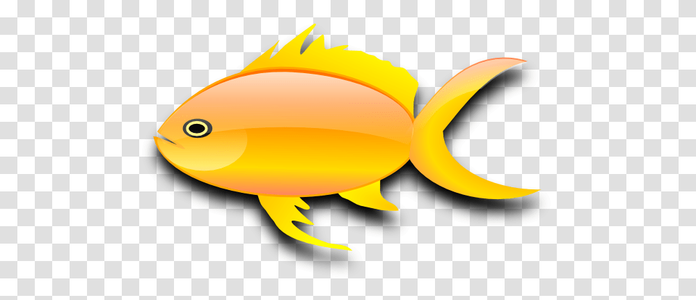 Goldfish Clipart, Banana, Fruit, Plant, Food Transparent Png