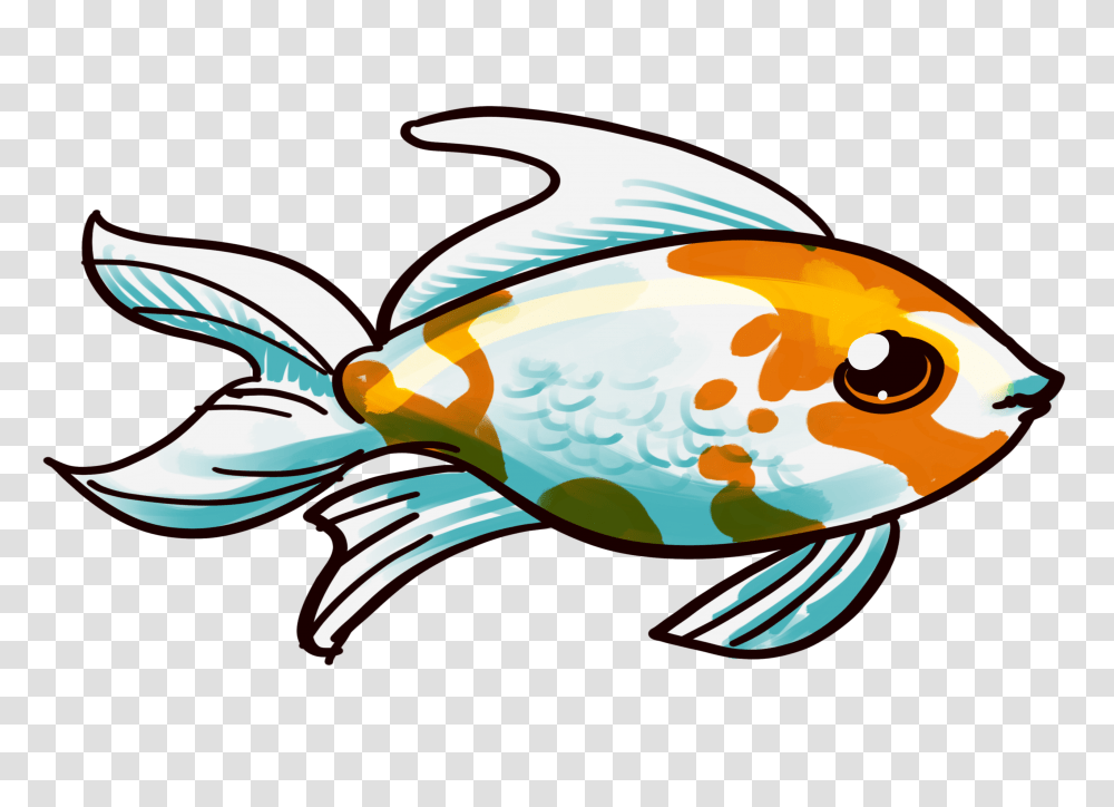 Goldfish Clipart Beautiful Fish, Animal, Carp, Amphiprion, Sea Life Transparent Png