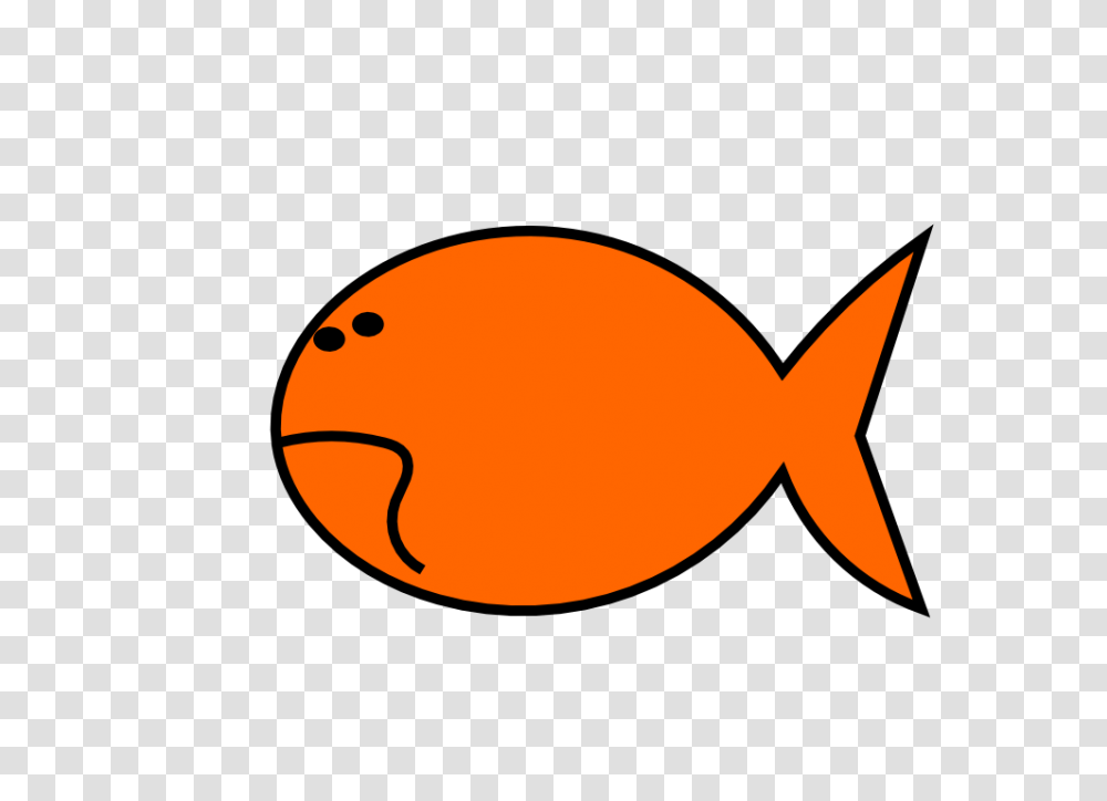 Goldfish Clipart Orange Things, Shark, Sea Life, Animal Transparent Png