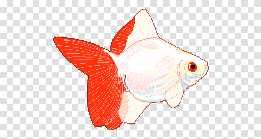 Goldfish Clipart Tumblr Fish, Animal Transparent Png