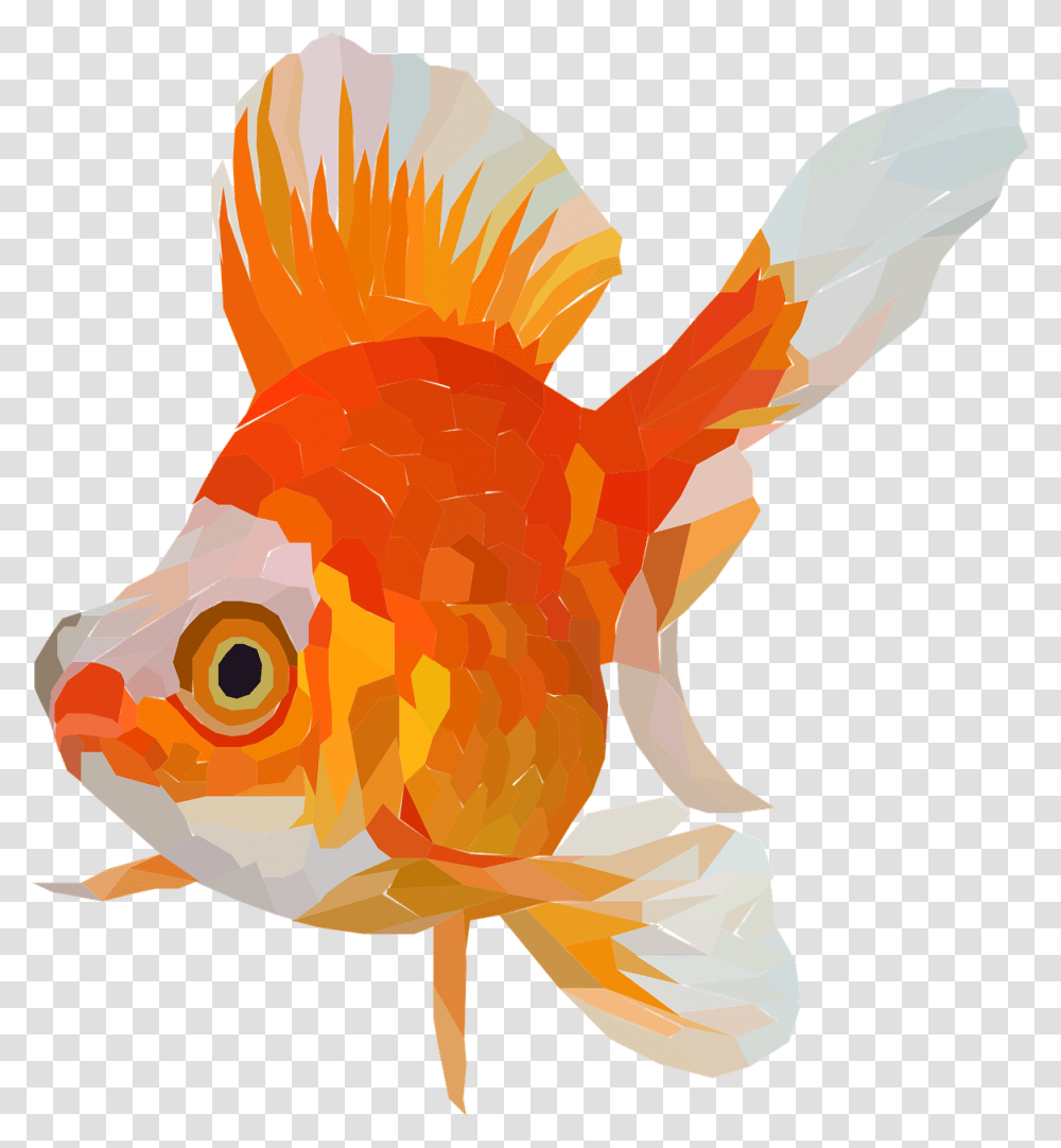 Goldfish Fish Tail Animal Free Vector Graphic On Pixabay Ikan Mas Koki Vektor Transparent Png