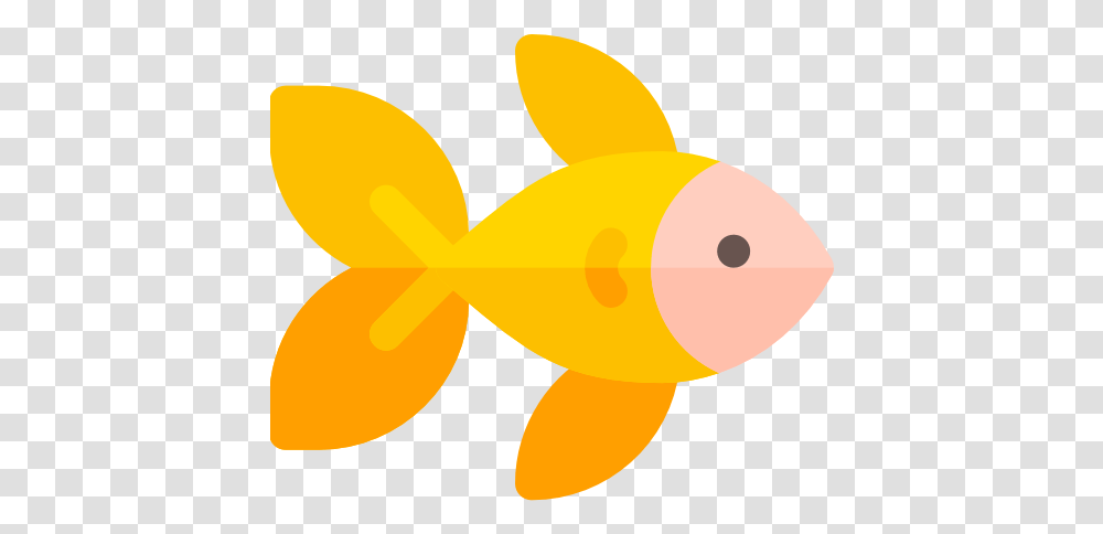 Goldfish Free Animals Icons Icono Pez Transparent Png