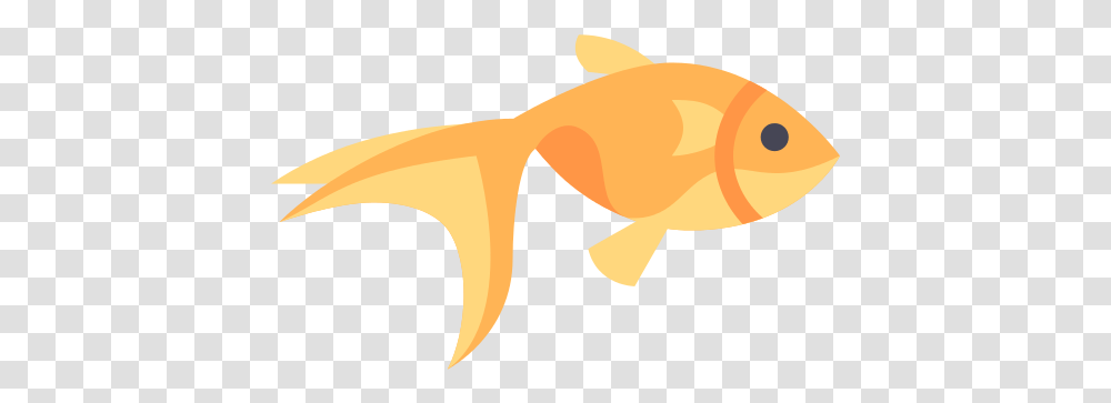 Goldfish Icon Ocean Animals, Rock Beauty, Sea Life Transparent Png