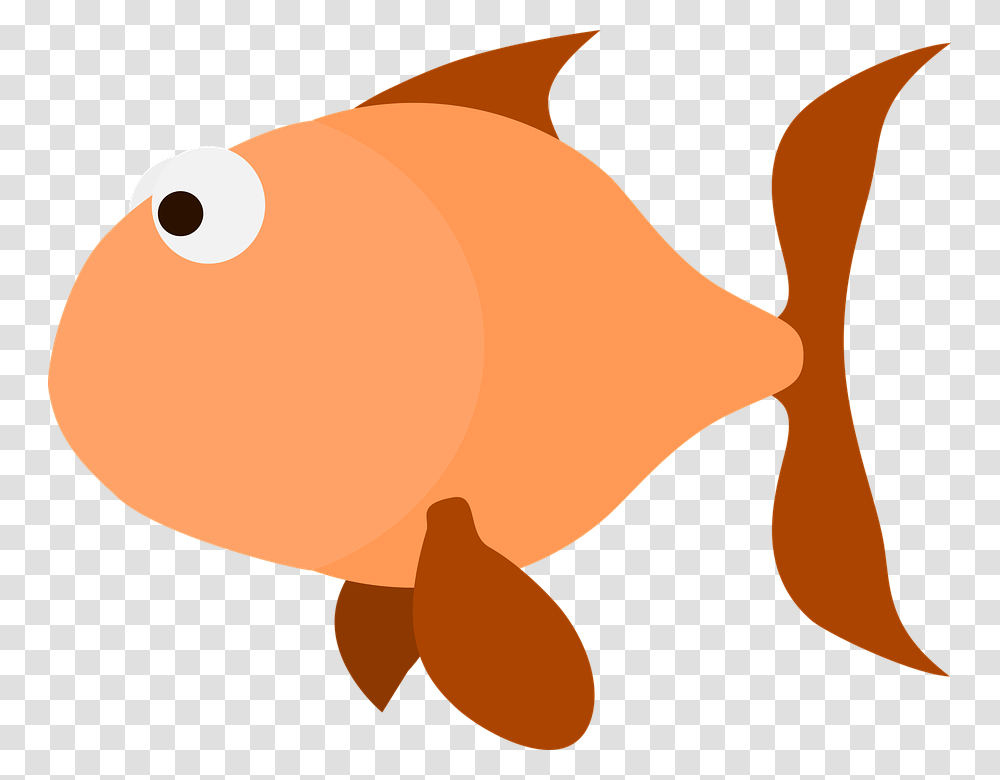 Goldfish Images Free Download, Animal, Balloon, Sea Life, Mammal Transparent Png