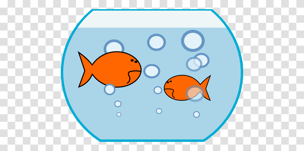Goldfish In Fishbowl Clip Art, Animal Transparent Png