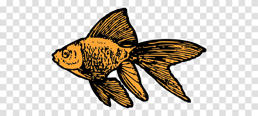 Goldfish Large Size, Animal, Bird Transparent Png