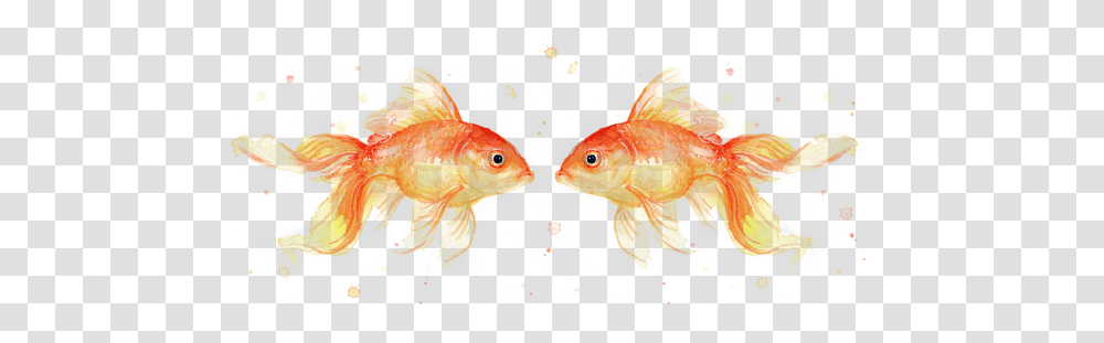 Goldfish Love Watercolor Tank Top Goldfish Painting Watercolor, Animal, Pattern, Fractal Transparent Png