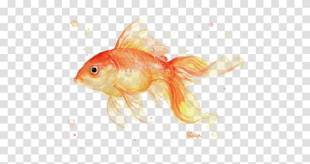 Goldfish Painting Watercolor Tank Top Goldfish Painting Watercolor, Animal, Bird Transparent Png