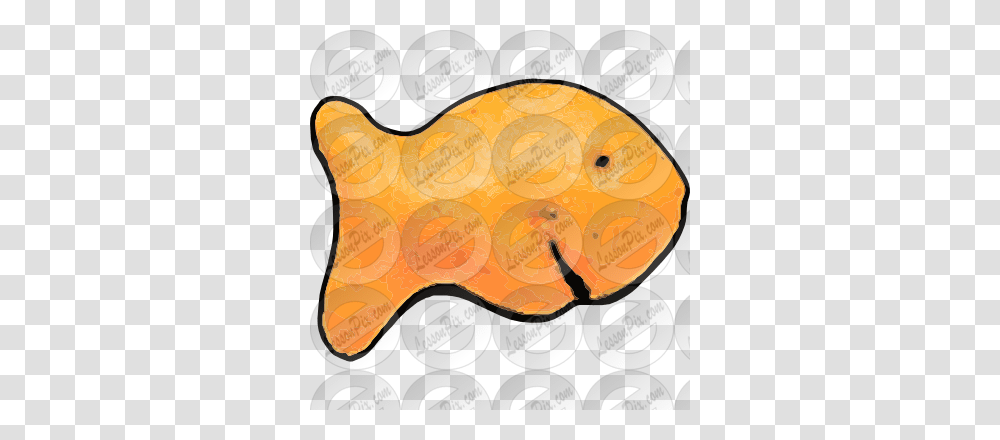 Goldfish Picture For Classroom Therapy Use, Animal, Food, Bird Transparent Png