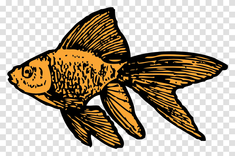 Goldfish Svg Clip Art For Web Download Clip Art Goldfish Clip Art, Animal, Bird Transparent Png