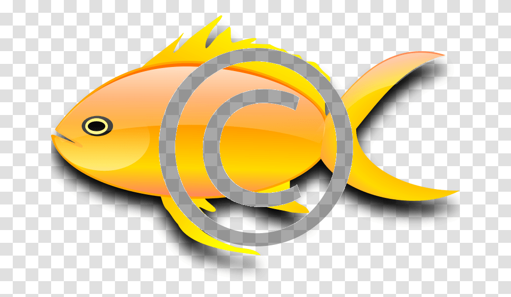 Goldfish Tigerstock Goldfish, Food, Plant, Weapon, Weaponry Transparent Png