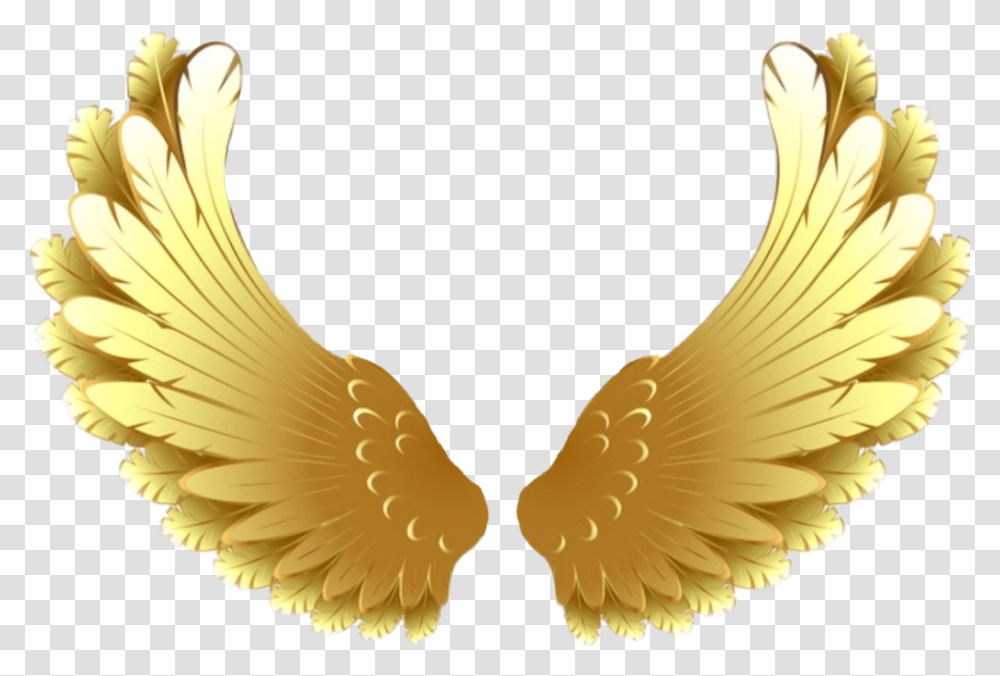 Goldwings Wings Golden Goldenwings Pretty Soft Gold Wings Background, Bird, Animal, Bronze, Jay Transparent Png