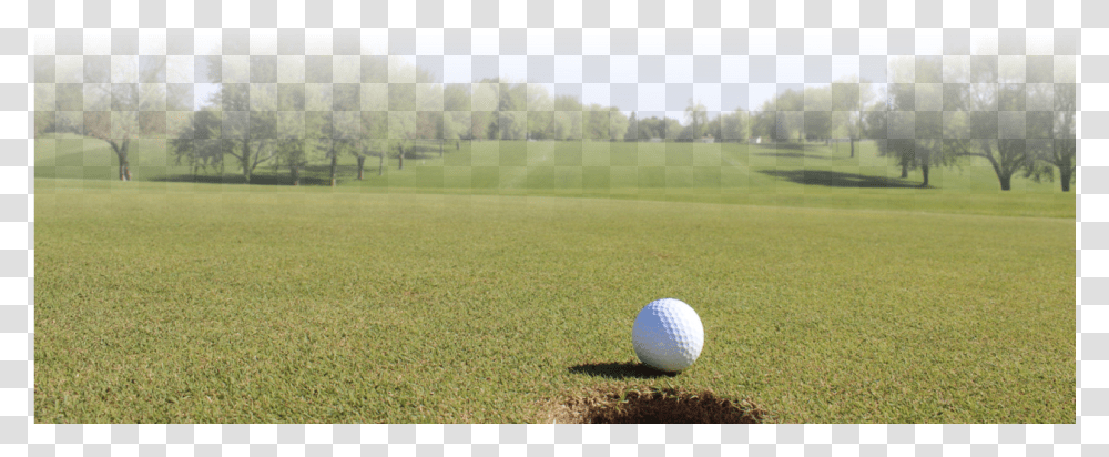Golf Ball Club Sports Golf Ball Pitch And Putt, Field, Outdoors, Grass, Plant Transparent Png
