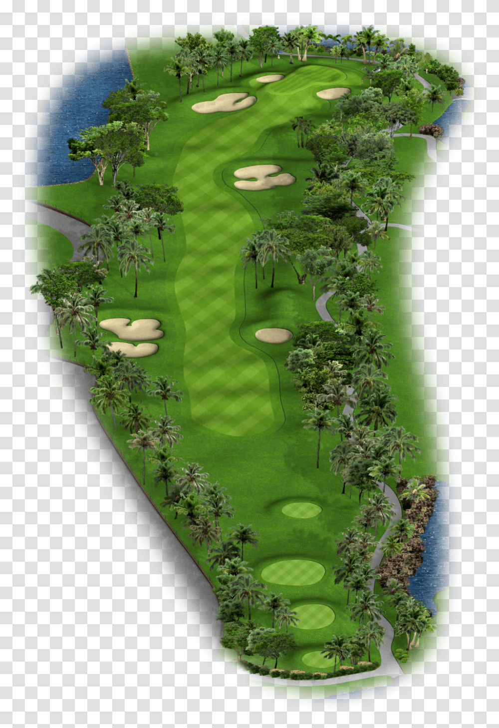 Golf Grass, Field, Outdoors, Plant, Golf Course Transparent Png