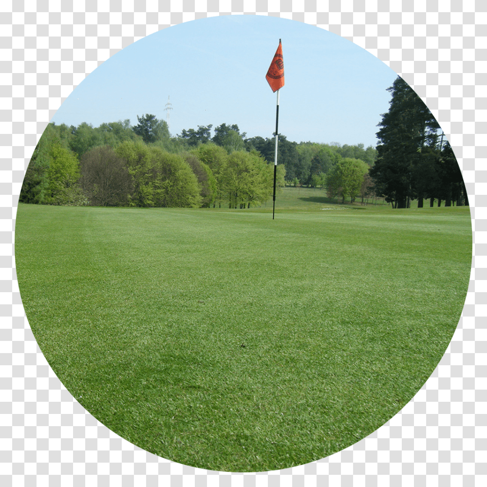 Golf Grass Lawn, Field, Outdoors, Plant, Golf Course Transparent Png