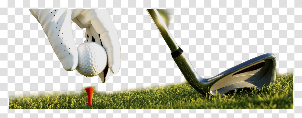 Golf, Sport, Sports, Plant, Bird Transparent Png