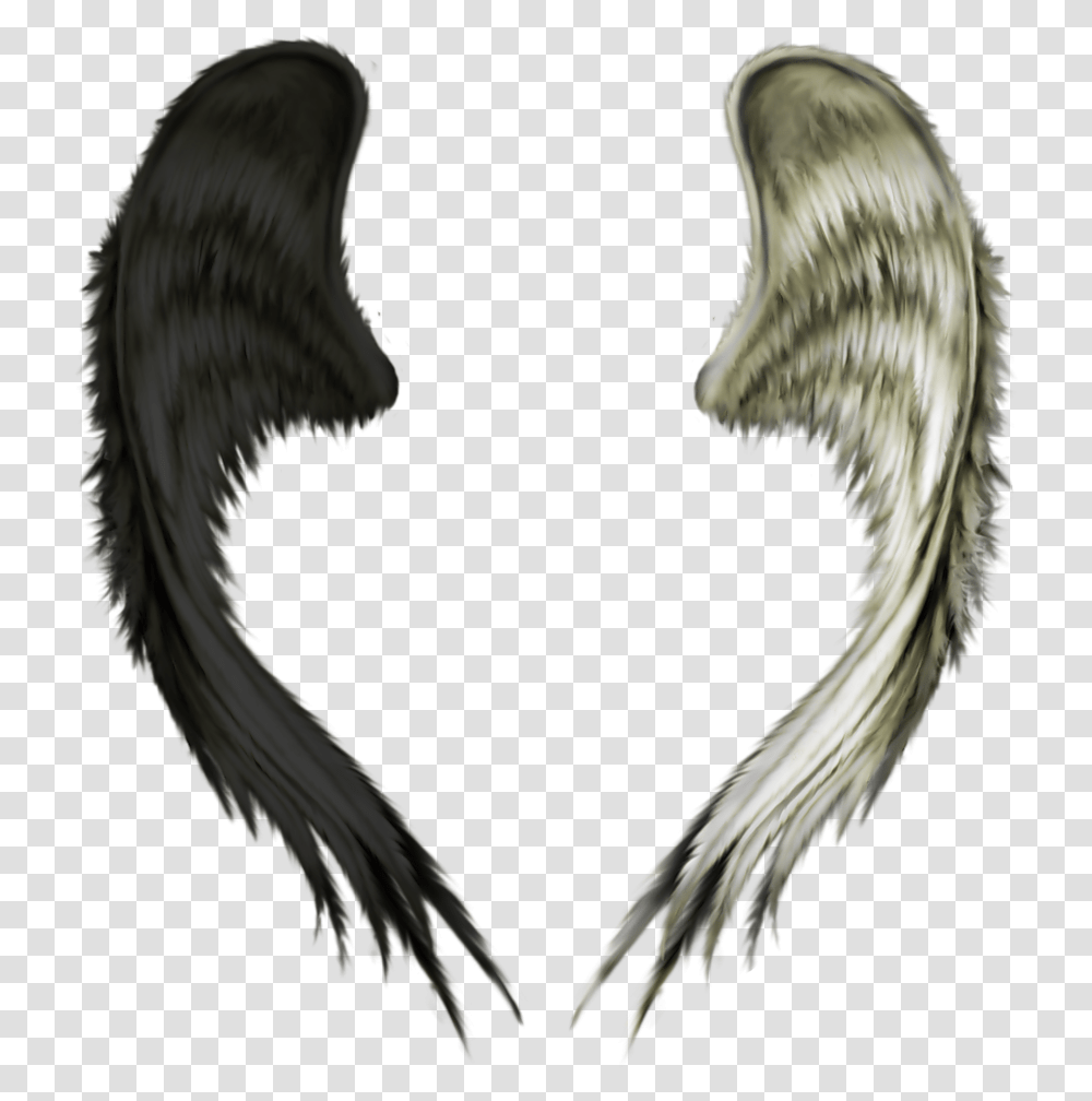 Good And Evil Wings, Bird, Animal, Angel Transparent Png