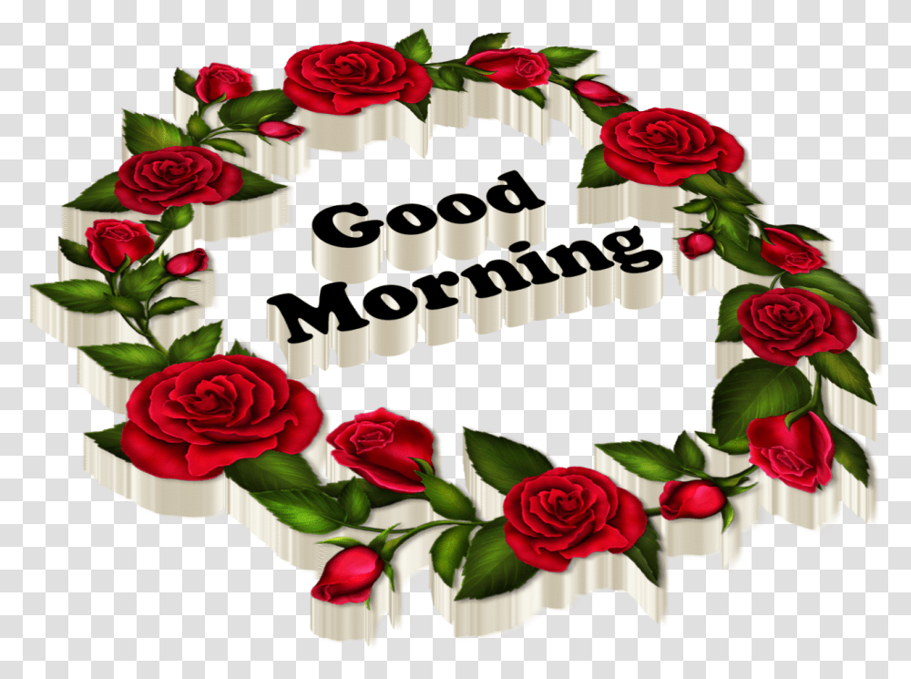 Good Morning All Images Good Morning Good Night, Rose, Flower, Plant, Blossom Transparent Png