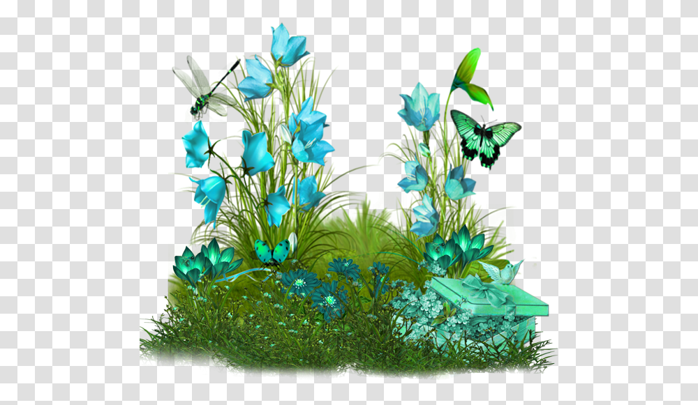 Good Morning Blessed Sunday Cute, Plant, Water, Flower, Sea Life Transparent Png