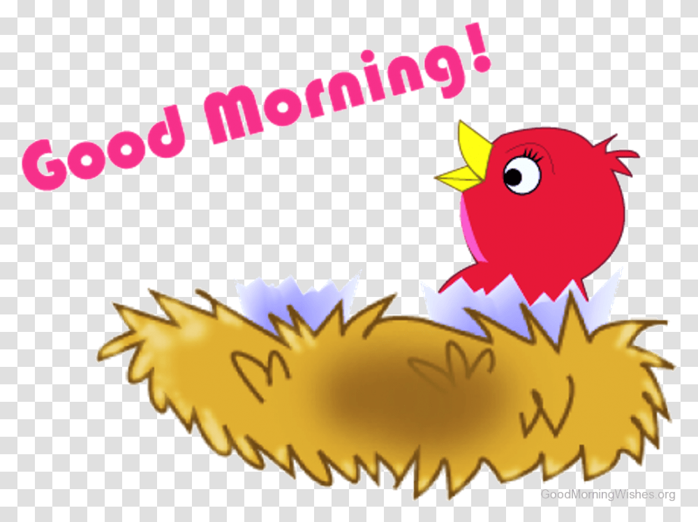 Good Morning Clip Art Wishes Good Morning Gif, Bird, Animal, Angry Birds Transparent Png