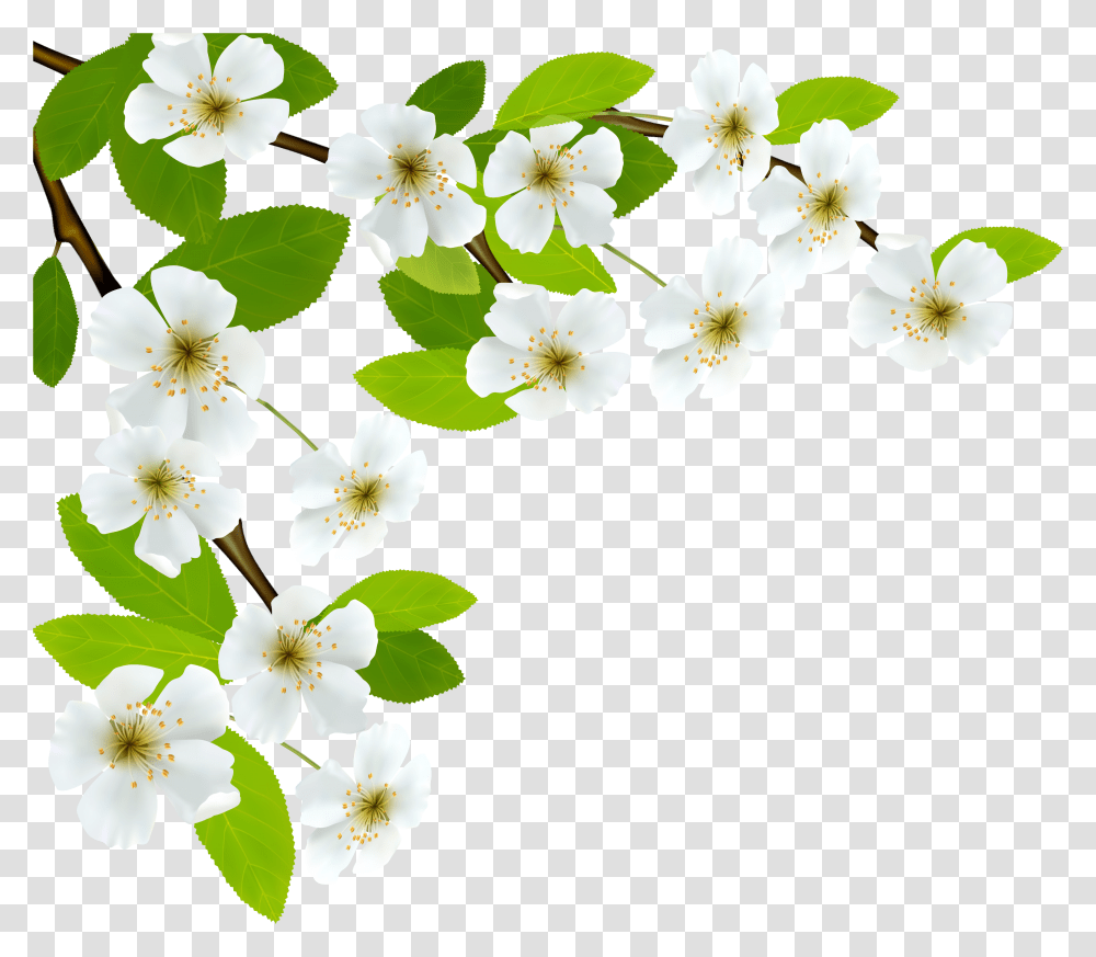 Good Morning Message With Respect, Plant, Flower, Blossom, Petal Transparent Png