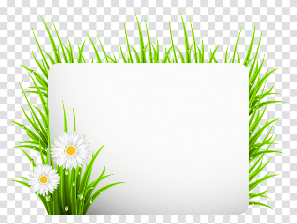 Good Morning Persian Gif, Plant, Daisy, Flower, Daisies Transparent Png