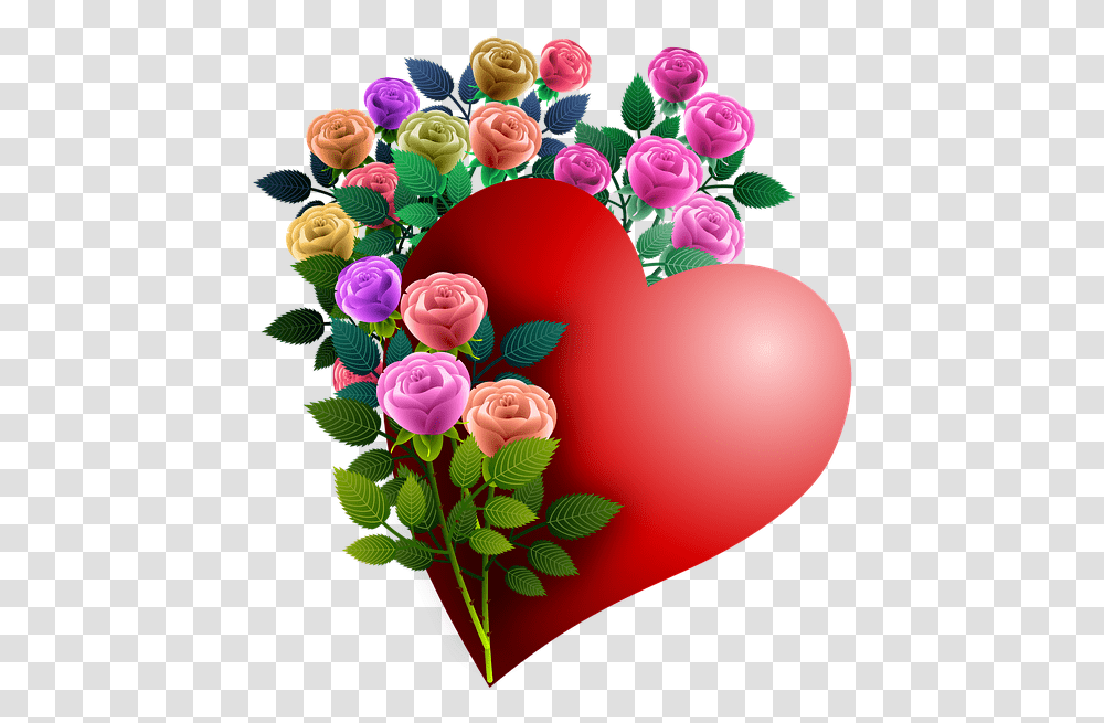 Good Morning Sister Love, Rose, Flower, Plant Transparent Png