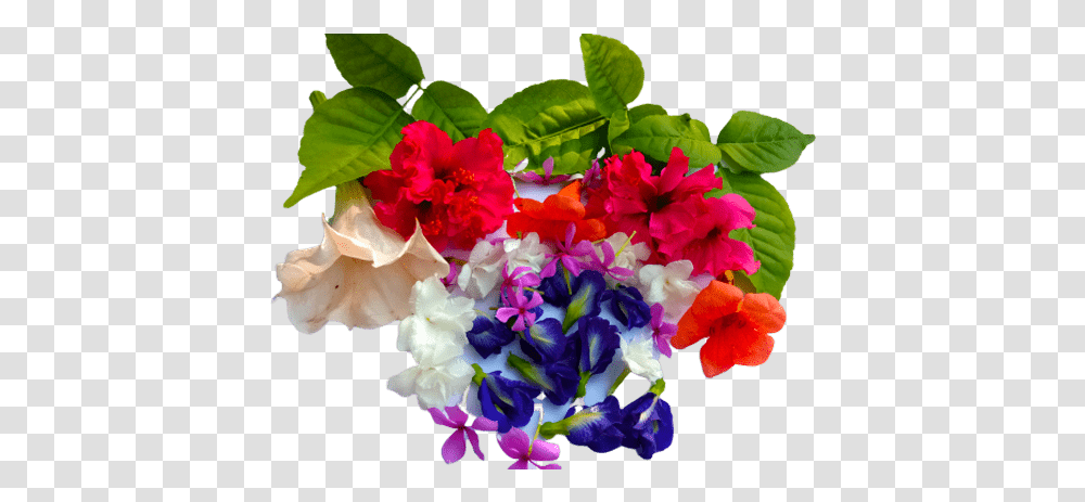 Good Morning Wishes Message Image With Flowers 1000 Free Bouquet, Plant, Geranium, Blossom, Flower Arrangement Transparent Png