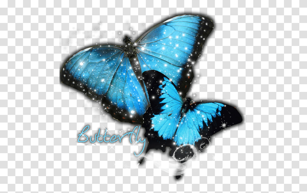 Good Silent Round Wall Clock Frameless Butterfly Stylish Blue Butterfly, Light Transparent Png