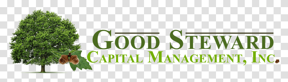 Good Steward Capital Management Inc Graphics, Alphabet, Word, Logo Transparent Png