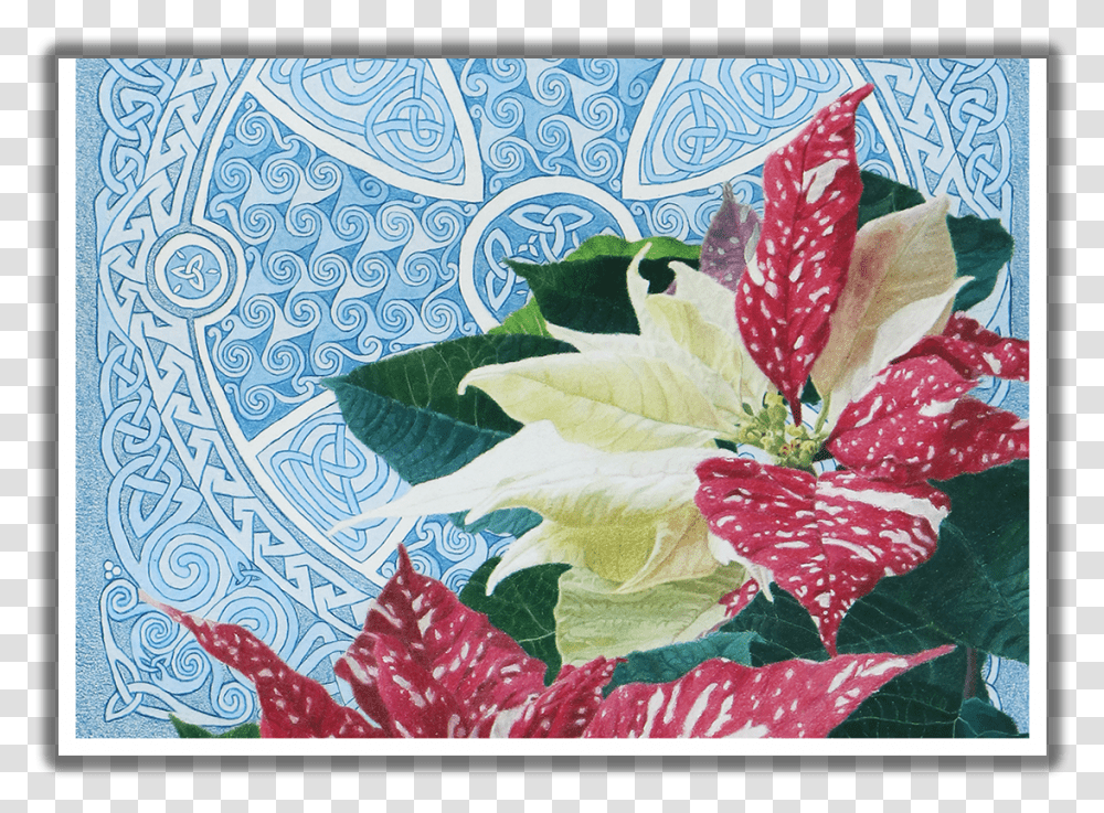 Good Tidings Of Great Joy Poinsettia Christmas Card Anthurium, Leaf, Plant, Pattern Transparent Png