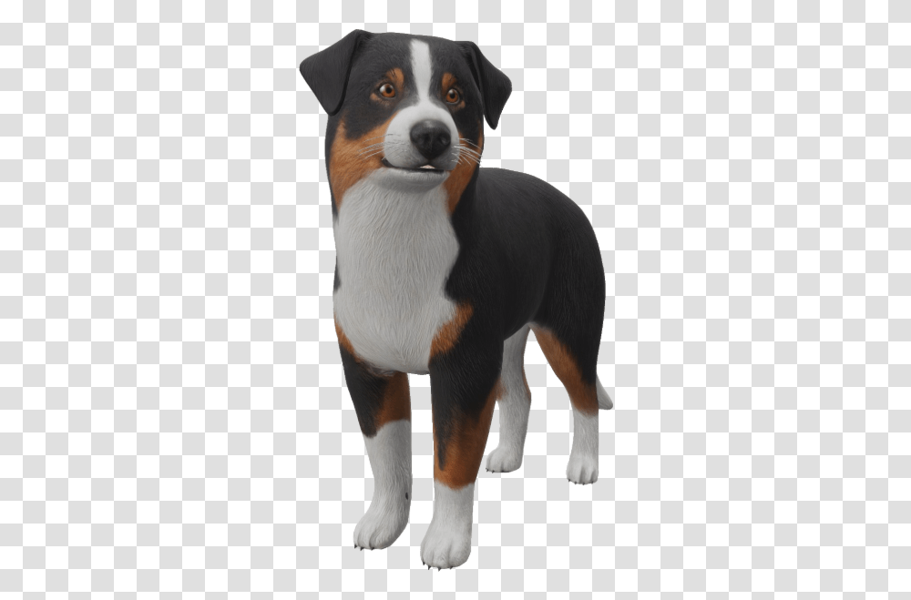 Google 3d Animals & Ar Objects Full List Gallery Collar, Dog, Pet, Canine, Mammal Transparent Png