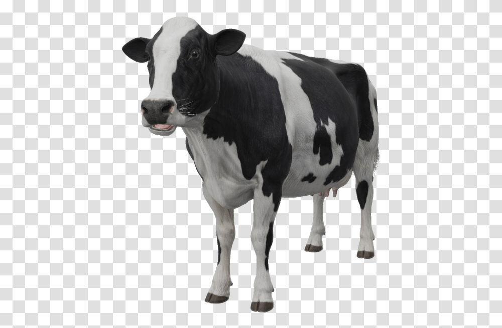 Google 3d Animals & Ar Objects Full List Gallery Google 3d Animals Cow, Cattle, Mammal, Dairy Cow Transparent Png