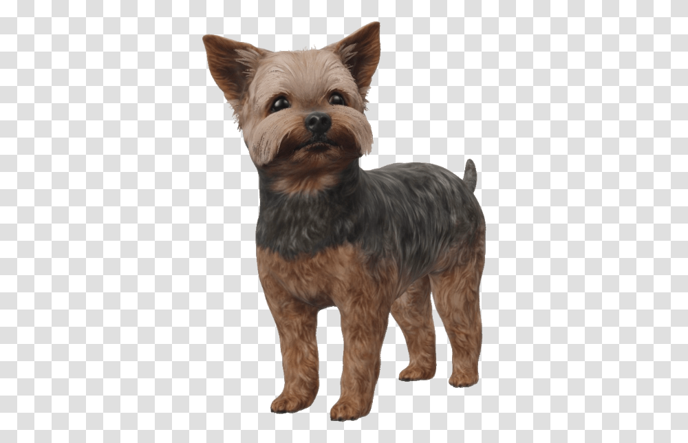 Google 3d Animals & Ar Objects Full List Gallery Icon, Dog, Pet, Canine, Mammal Transparent Png