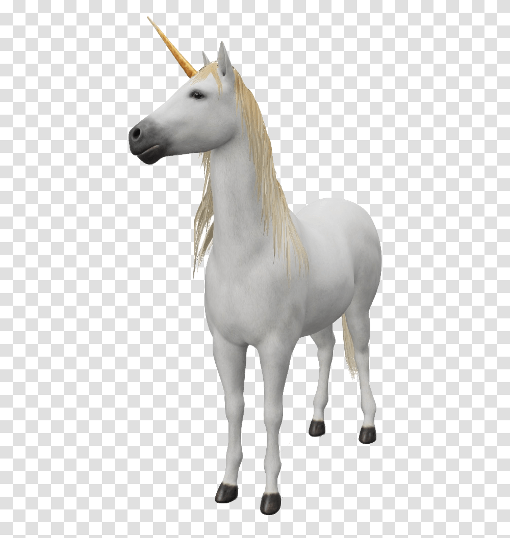 Google 3d Animals & Ar Objects Full List Gallery Unicorn, Horse, Mammal, Stallion, Andalusian Horse Transparent Png