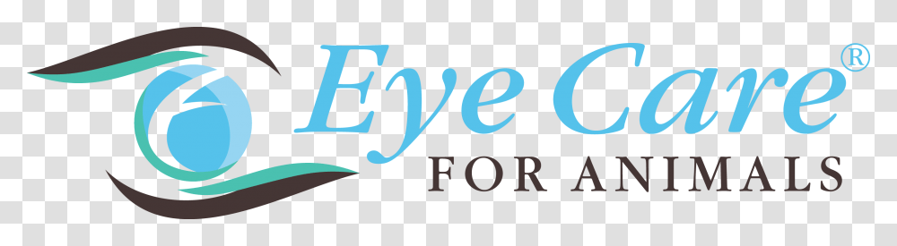 Google Eyes Eye Care For Animals, Alphabet, Label, Handwriting Transparent Png