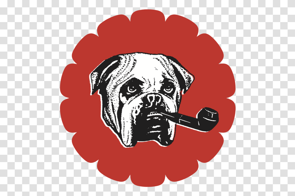 Google Guetzli, Smoke Pipe, Plant, Animal, Mammal Transparent Png