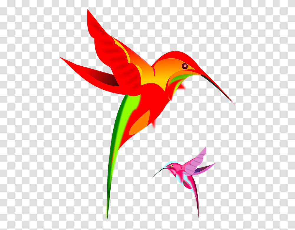 Google Hummingbird, Animal, Bee Eater, Flying, Flamingo Transparent Png