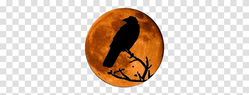 Google Image Result For Httpofficialpsdscomimages Raven In The Moon, Nature, Outdoors, Outer Space, Night Transparent Png