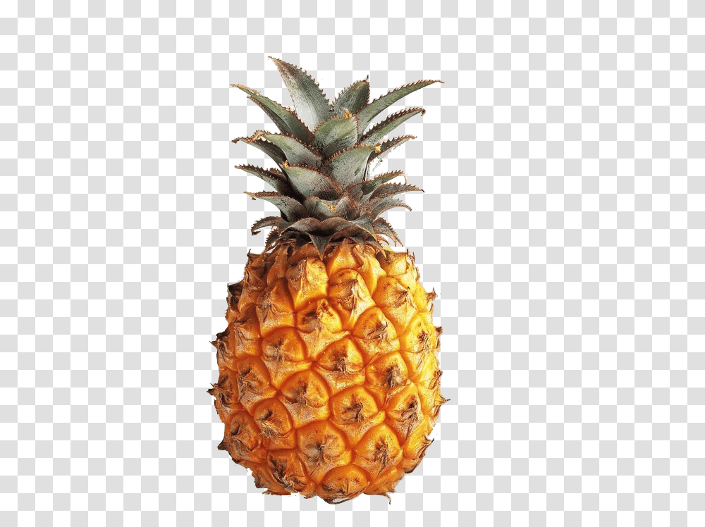 Google Search Fruit Pineapple, Plant, Food Transparent Png